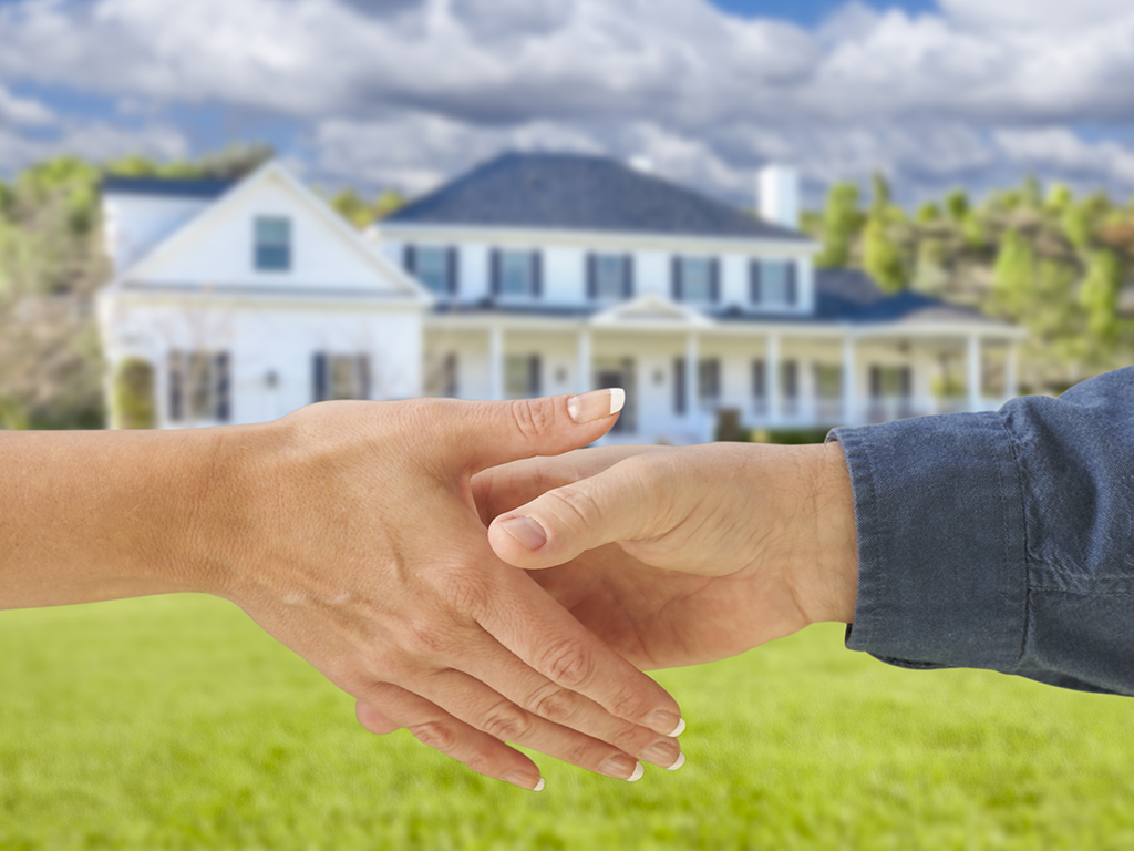 Our Practical Guide to Negotiating in a Seller's Market