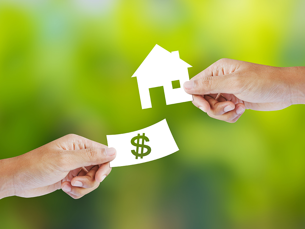Our Guide to Selling Your Home for a Higher Value - 5 Tips You Need to Know